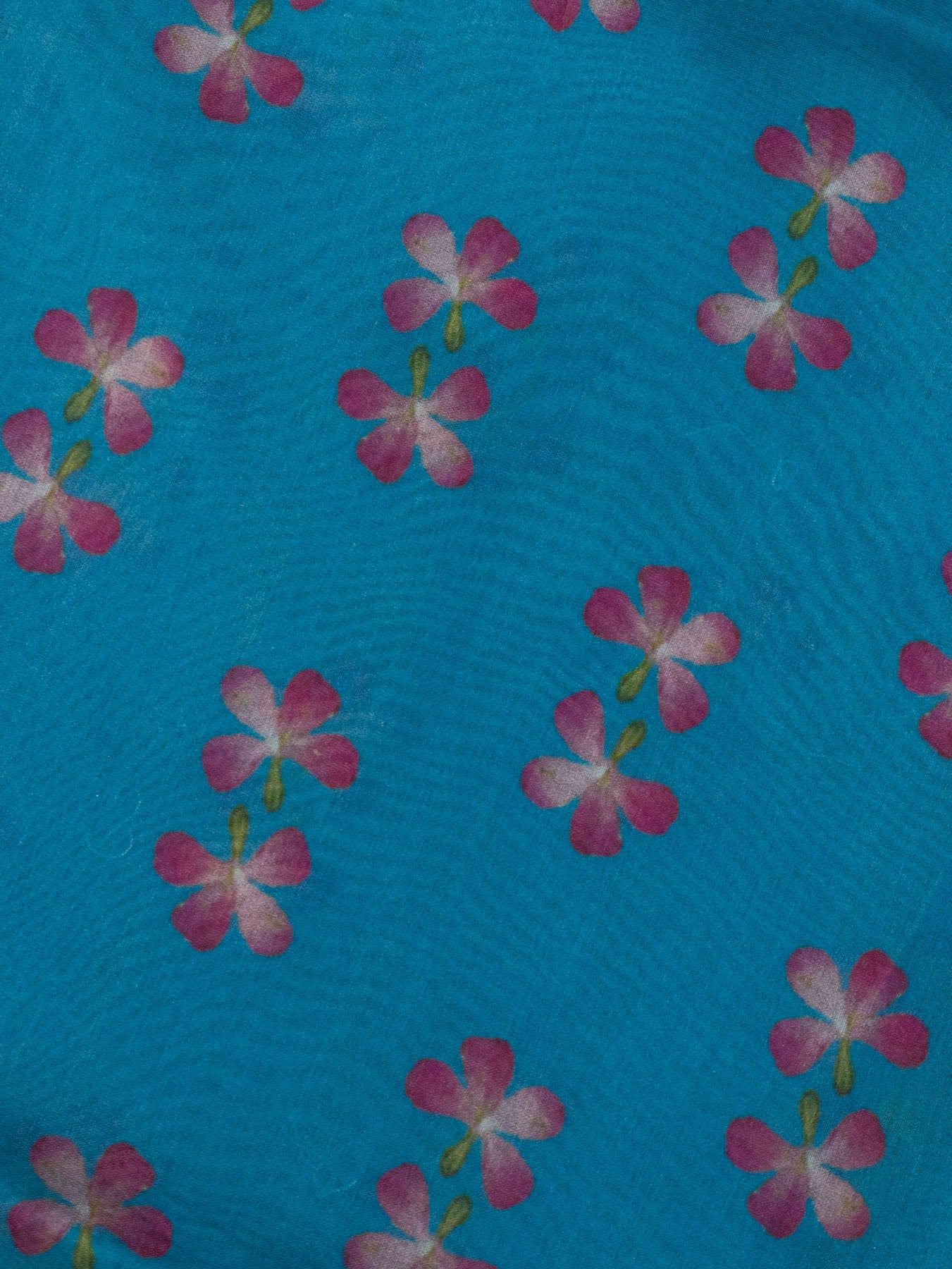 Multicolor Peacock Blue Pure Kora Organza Silk Saree Printed With Embroidered Pallu & Border (Copy)