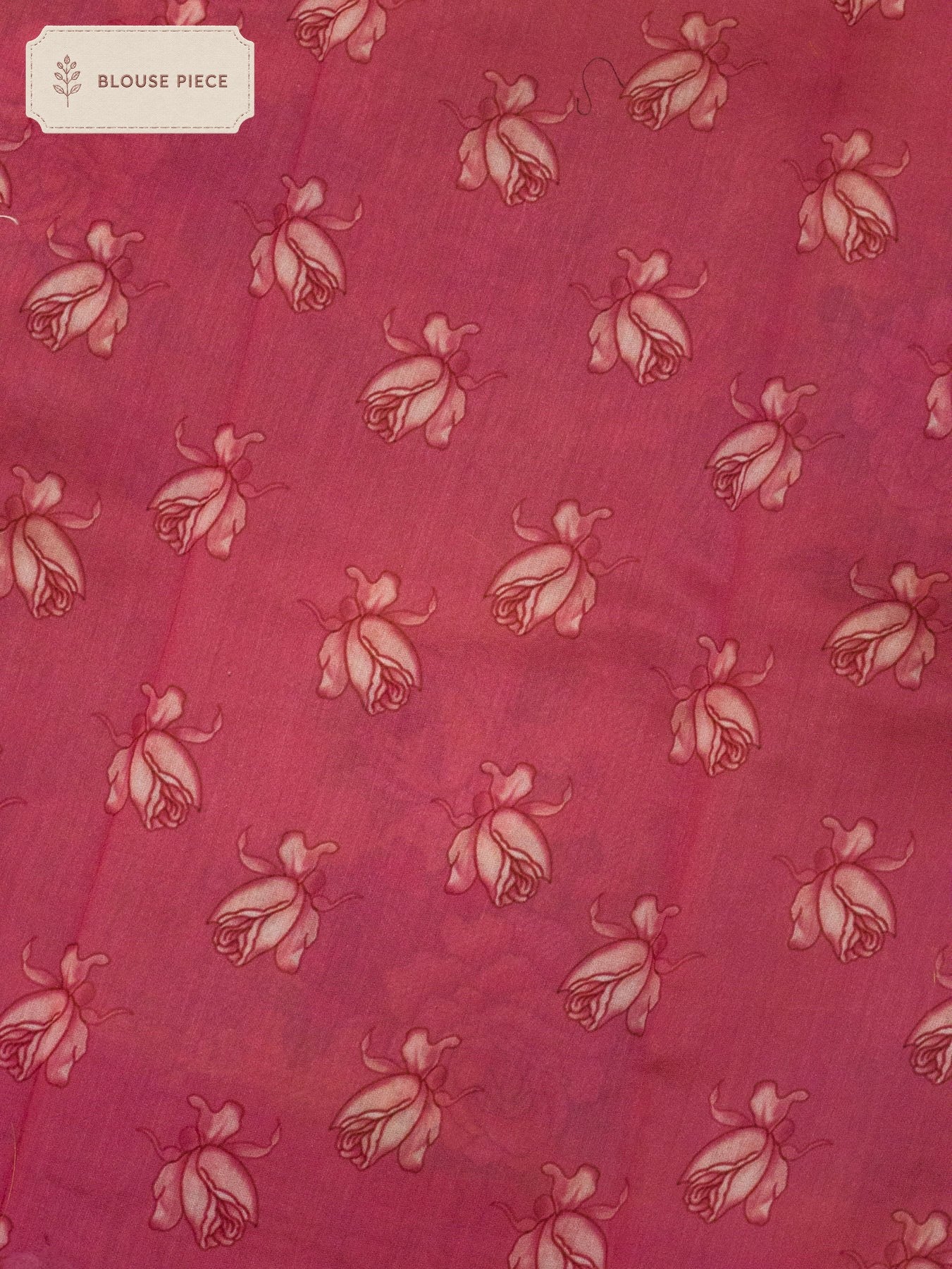 Pure Organza Yellow Multicolor Kora Silk Saree Printed With Embroidered Pallu & Border - close-up - ZARISPIRE