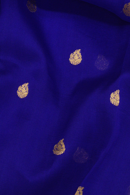 Pure Organza Royal Blue Banarasi Kora Silk Handloom Saree with Kadhwa Gold Zari Buti & Scallop Border - close-up - ZARISPIRE