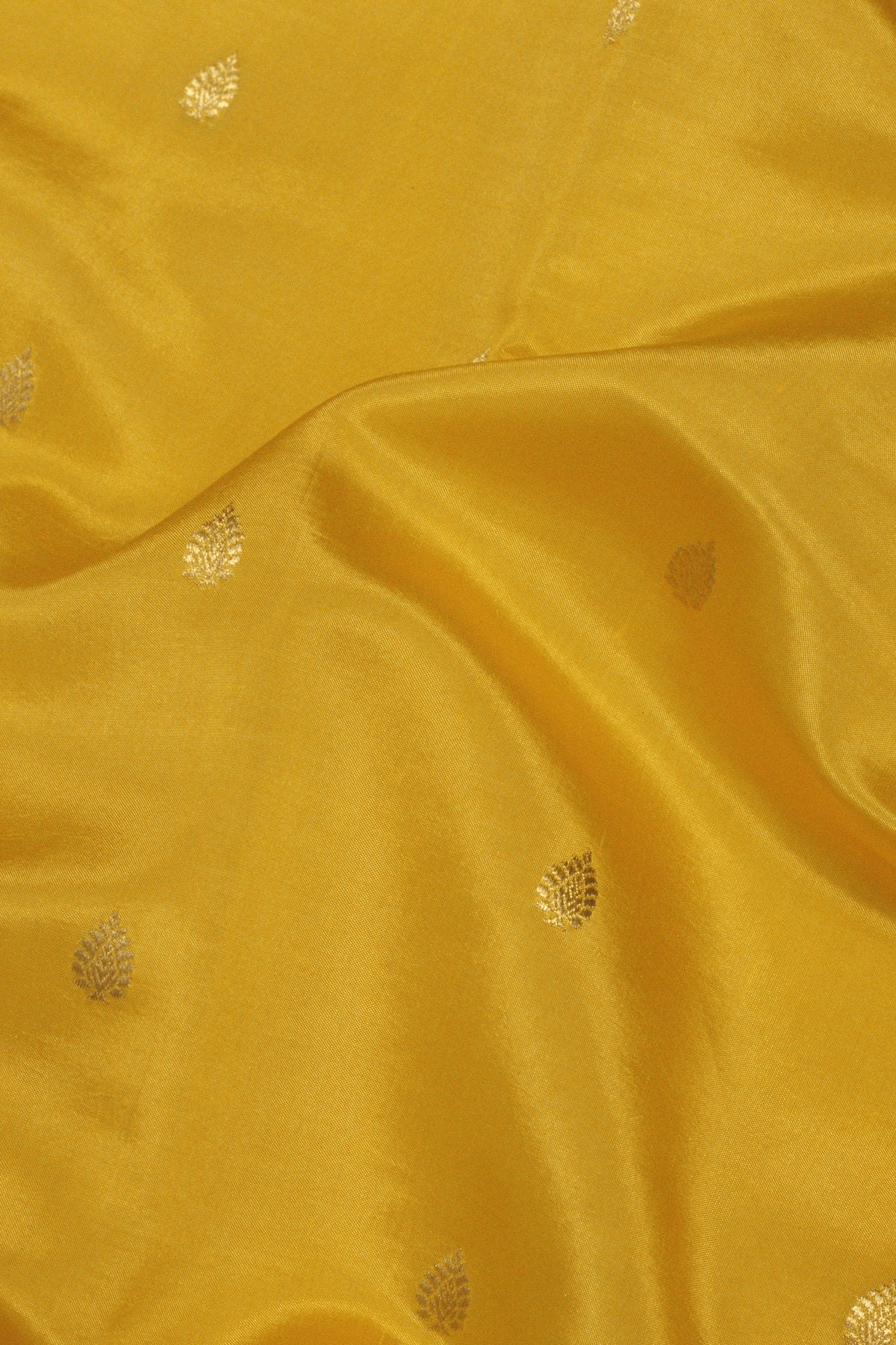 Yellow Pure Katan Silk Handloom Saree Kadhwa Scallop Satin Border & Zari Buti